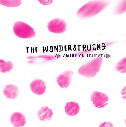 The Wonderstrucks - An American Education